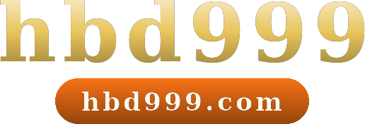hbd999 logo